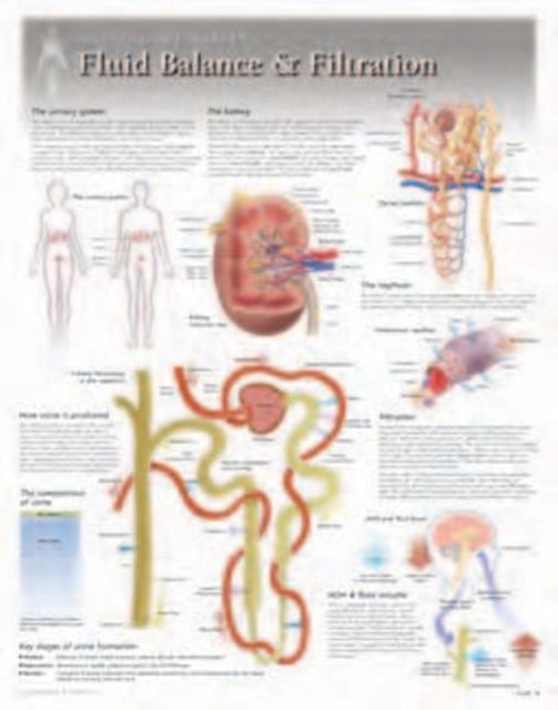 Book cover of: Fluid Balance & Filtration Laminated Poster