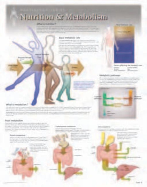 Book cover of: Nutrition & Metabolism Laminated Poster
