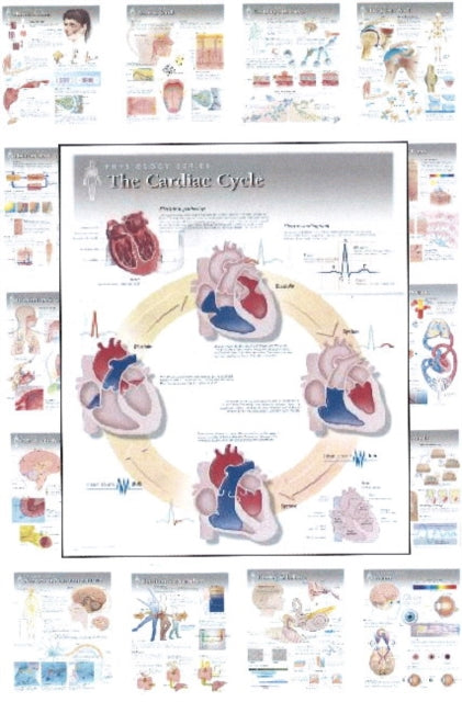 Book cover of: Complete Set of All 20 Physiology Charts