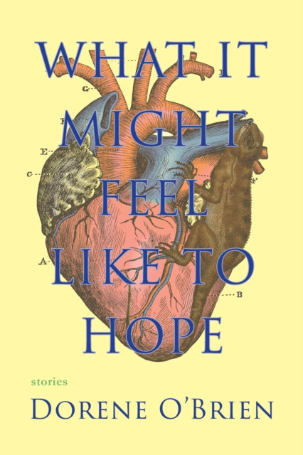 Book cover of: What It Might Feel Like To Hope. By: Dorene O'Brien