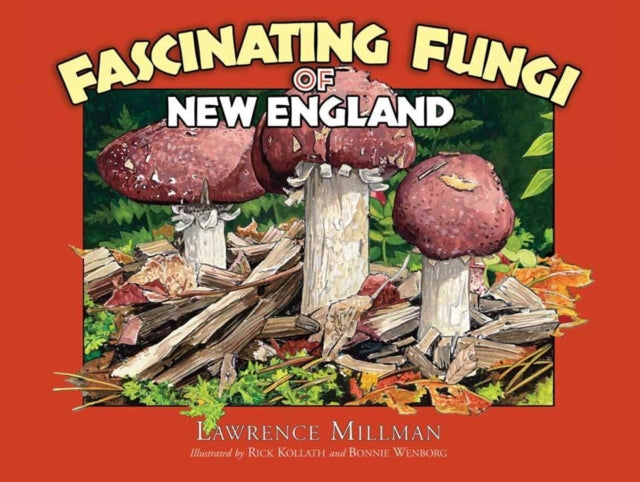 Book cover of: Fascinating Fungi of New England. By: Lawrence Millman