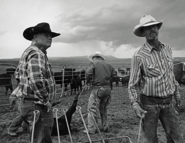 Book cover of: John Langmore - Open Range