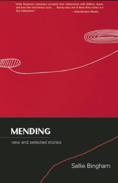 Book cover of: Mending. By: Sallie Bingham