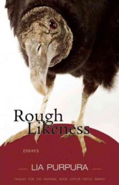 Book cover of: Rough Likeness. By: Lia Purpura