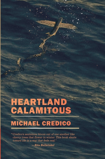 Book cover of: Heartland Calamitous. By: Michael Credico