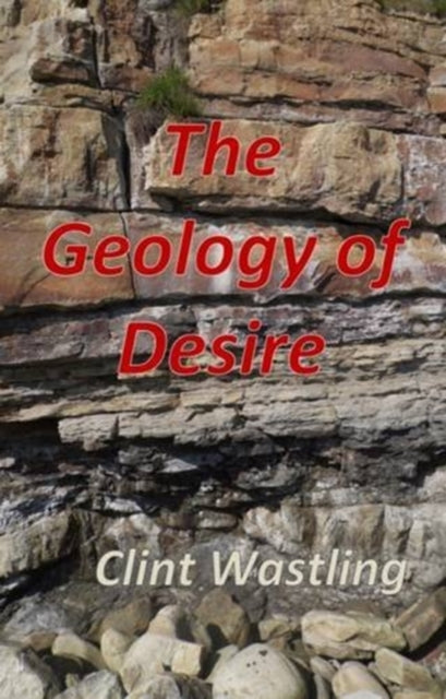 Book cover of: Geology of Desire