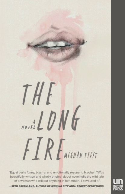 Book cover of: Long Fire. By: Meghan Tifft