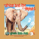 Book cover of: African Bush Fire and the Elephant. By: Sylvia M. Medina