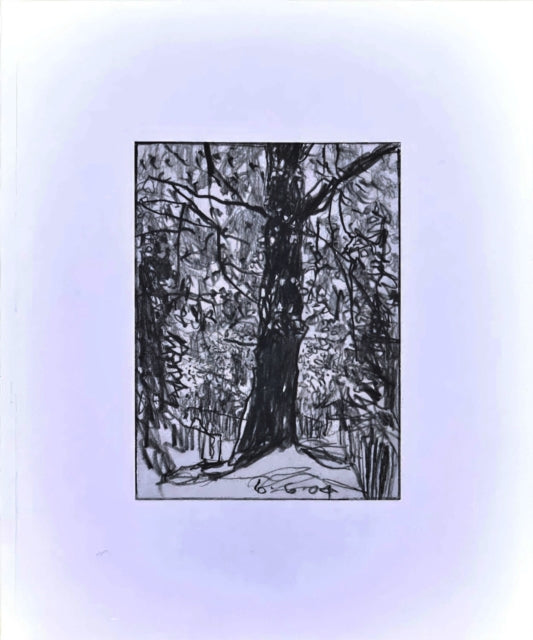 Book cover of: Woods