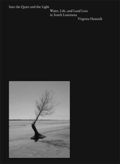 Book cover of: Into the Quiet and the Light. By: Virginia Hanusik