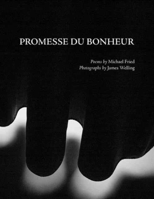 Book cover of: Promesse du Bonheur. By: Michael Fried