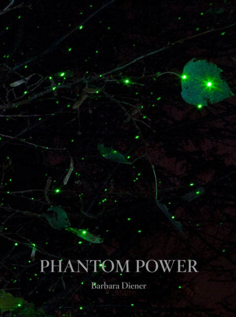 Book cover of: Phantom Power