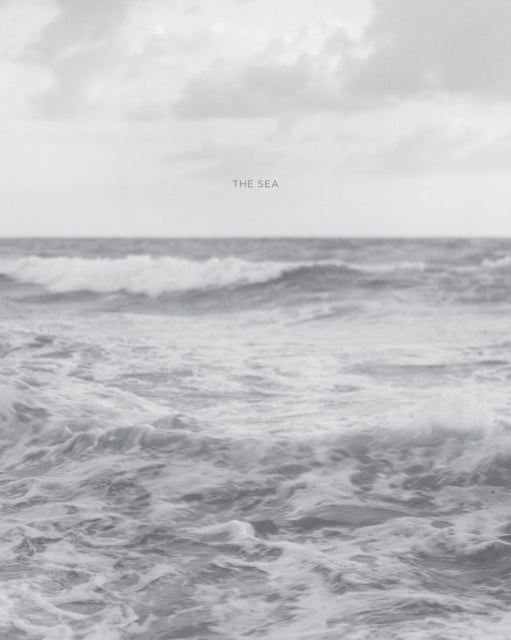 Book cover of: Barbara Bosworth: The Sea. By: Barbara Bosworth