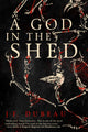 Book cover of: God in the Shed. By: J-F Dubeau