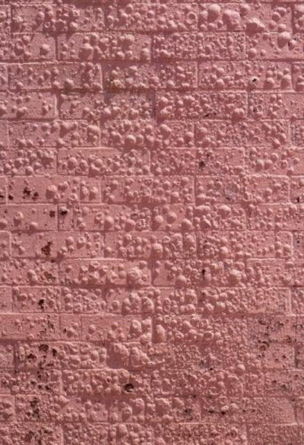 Book cover of: Californian Wildflowers