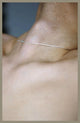 Book cover of: Season Particular