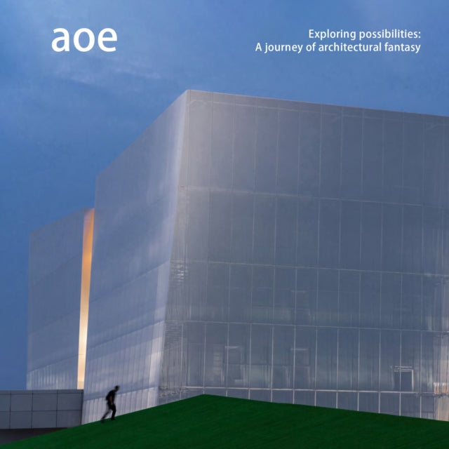 Book cover of: aoe. By: Larry Wen