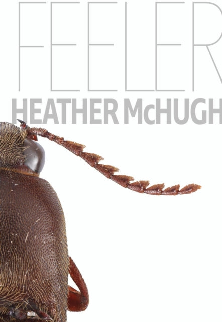 Book cover of: Feeler. By: Heather McHugh