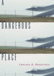 Book cover of: Dangerous Place. By: Chelsea B. DesAutels