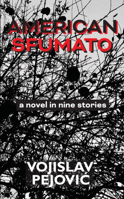 Book cover of: American Sfumato. By: Vojislav Pejović