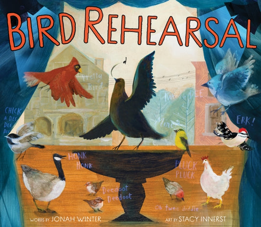 Book cover of: Bird Rehearsal. By: Jonah Winter