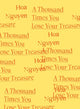 Book cover of: Thousand Times You Lose Your Treasure. By: Hoa Nguyen