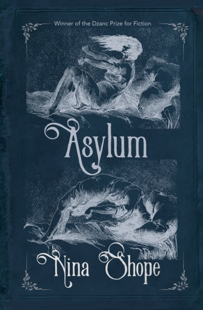 Book cover of: Asylum. By: Nina Shope