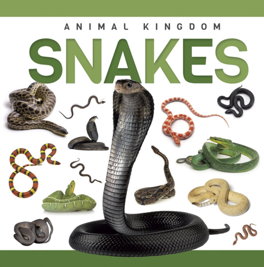 Book cover of: Snakes. By: Rebecca Phillips-Bartlett