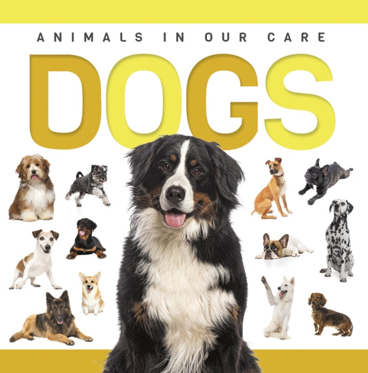 Book cover of: Dogs. By: Eliza Nodes