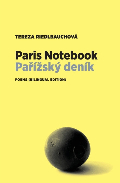 Book cover of: Paris Notebook