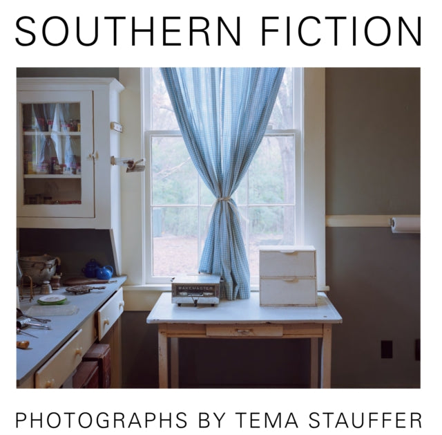 Book cover of: Southern Fiction. By: Tema Stauffer
