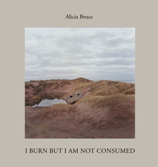 Book cover of: I Burn But Am Not Consumed. By: Alicia Bruce