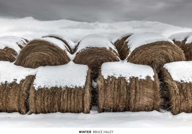 Book cover of: Winter. By: Bruce Haley