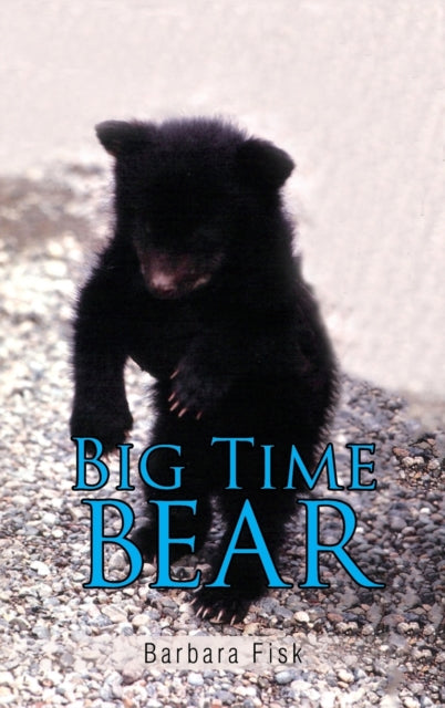 Book cover of: Big Time Bear. By: Barbara Fisk