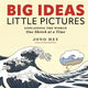 Big Ideas, Little Pictures, Explaining the world one sketch at a time 9781956403572 Jono Hey