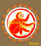 Monkey Moon 9781957670065 Demi
