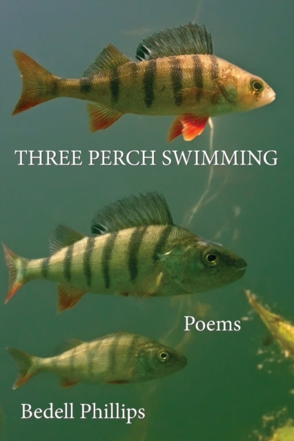 Book cover of: Three Perch Swimming. By: Bedell Phillips