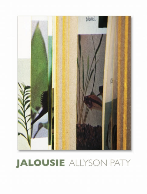 Book cover of: Jalousie. By: Allyson Paty