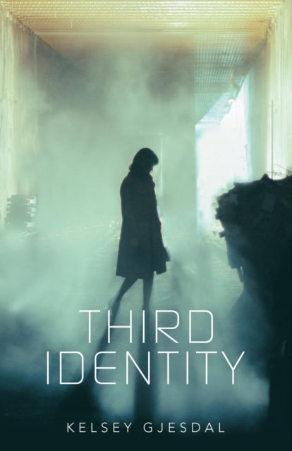 Book cover of: Third Identity