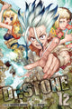 Book cover of: Dr. STONE, Vol. 12. By: Riichiro Inagaki