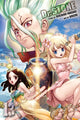 Book cover of: Dr. STONE, Vol. 13. By: Riichiro Inagaki