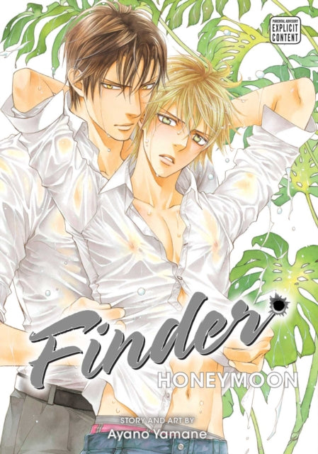 Book cover of: Finder Deluxe Edition: Honeymoon, Vol. 10. By: Ayano Yamane
