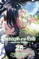 Book cover of: Seraph of the End, Vol. 28. By: Takaya Kagami