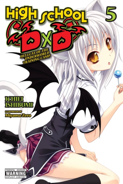 Book cover of: High School DxD, Vol. 5 (light novel). By: Ichiei Ishibumi