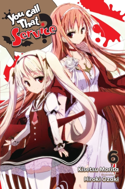 Book cover of: You Call That Service?, Vol. 6 (light novel). By: Kisetsu Morita