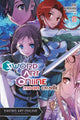 Book cover of: Sword Art Online 20 (light novel). By: Reki Kawahara