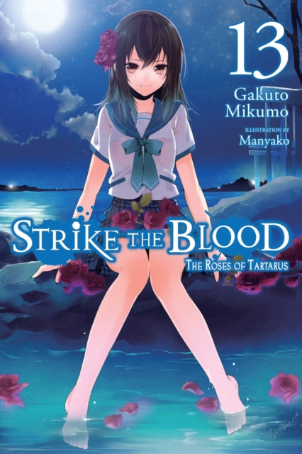 Book cover of: Strike the Blood, Vol. 13 (light novel). By: Gakuto Mikumo