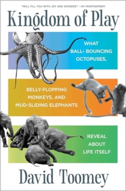 Book cover of: Kingdom of Play. By: David Toomey