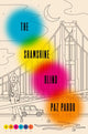 Book cover of: Shamshine Blind. By: Paz Pardo