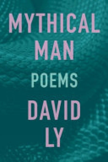 Book cover of: Mythical Man. By: David Ly